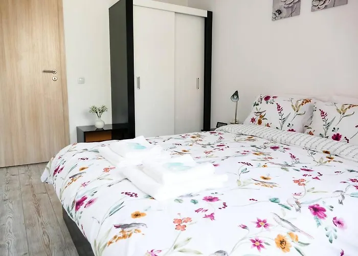 Modern & Bright 1bd Near Main Square