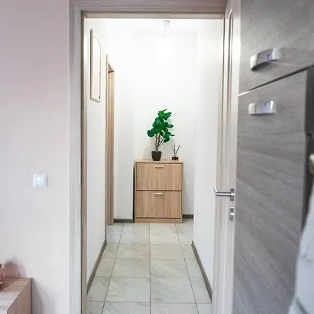Modern & Bright 1bd Near Main Square Apartment *