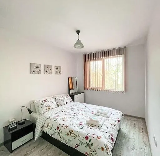 Modern & Bright 1bd Near Main Square Apartment