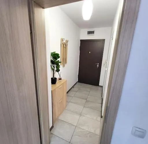 Modern & Bright 1bd Near Main Square Apartment