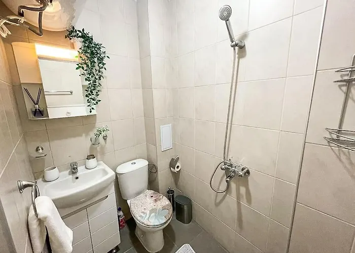 Modern & Bright 1bd Near Main Square Apartment